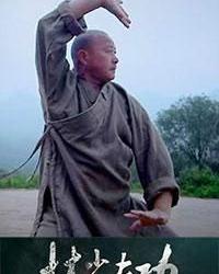 Кунг-фу и шаолиньские монахи (2015) смотреть онлайн